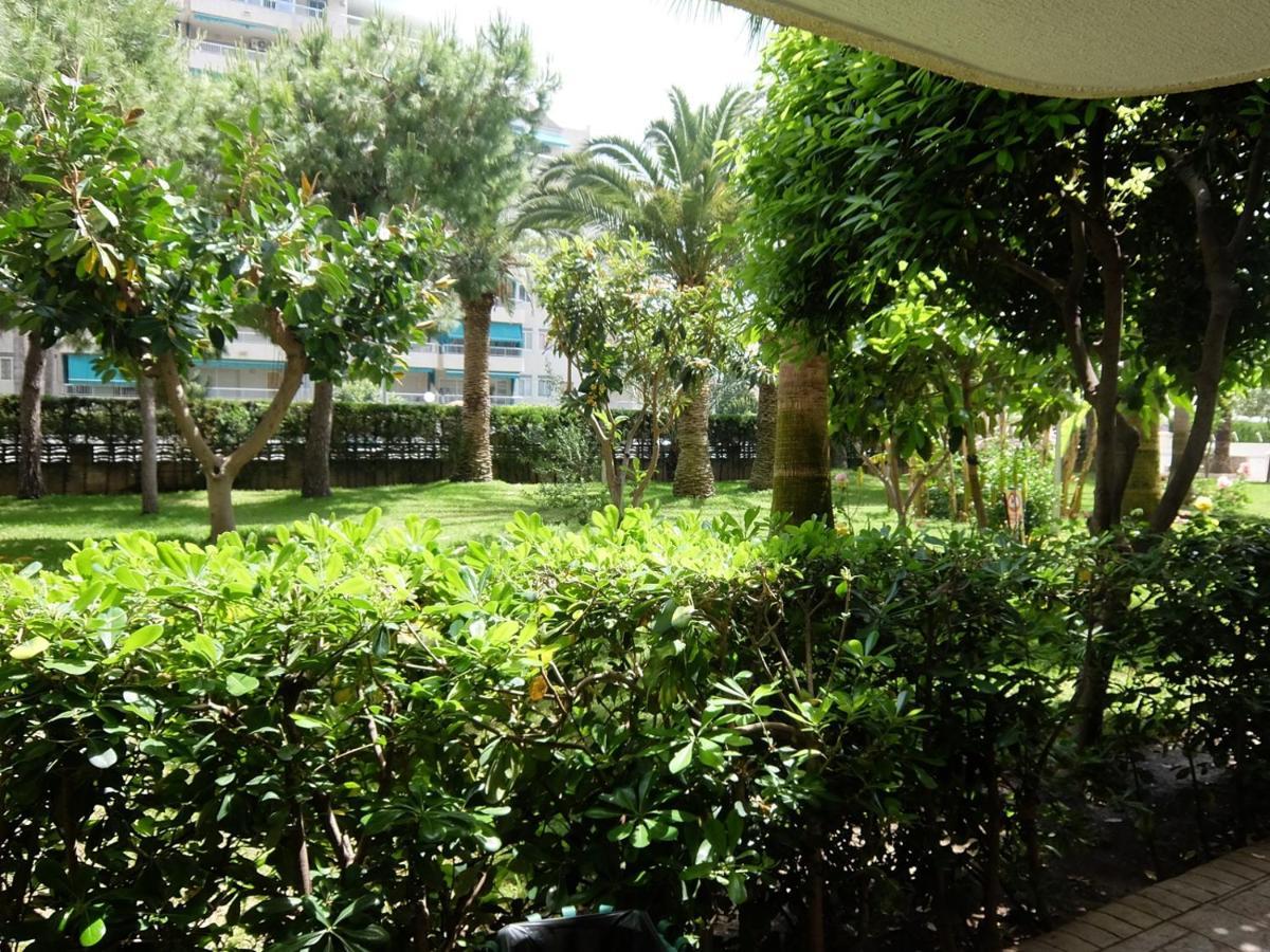 Parque Mota - Alquiler Solo A Familias Apartman Playa de Gandia Kültér fotó